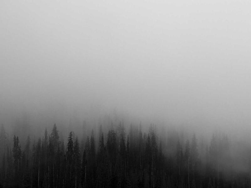 Kallion Muutto tiimi